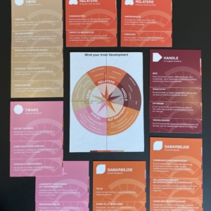 Mind your Inner Development - alle kort